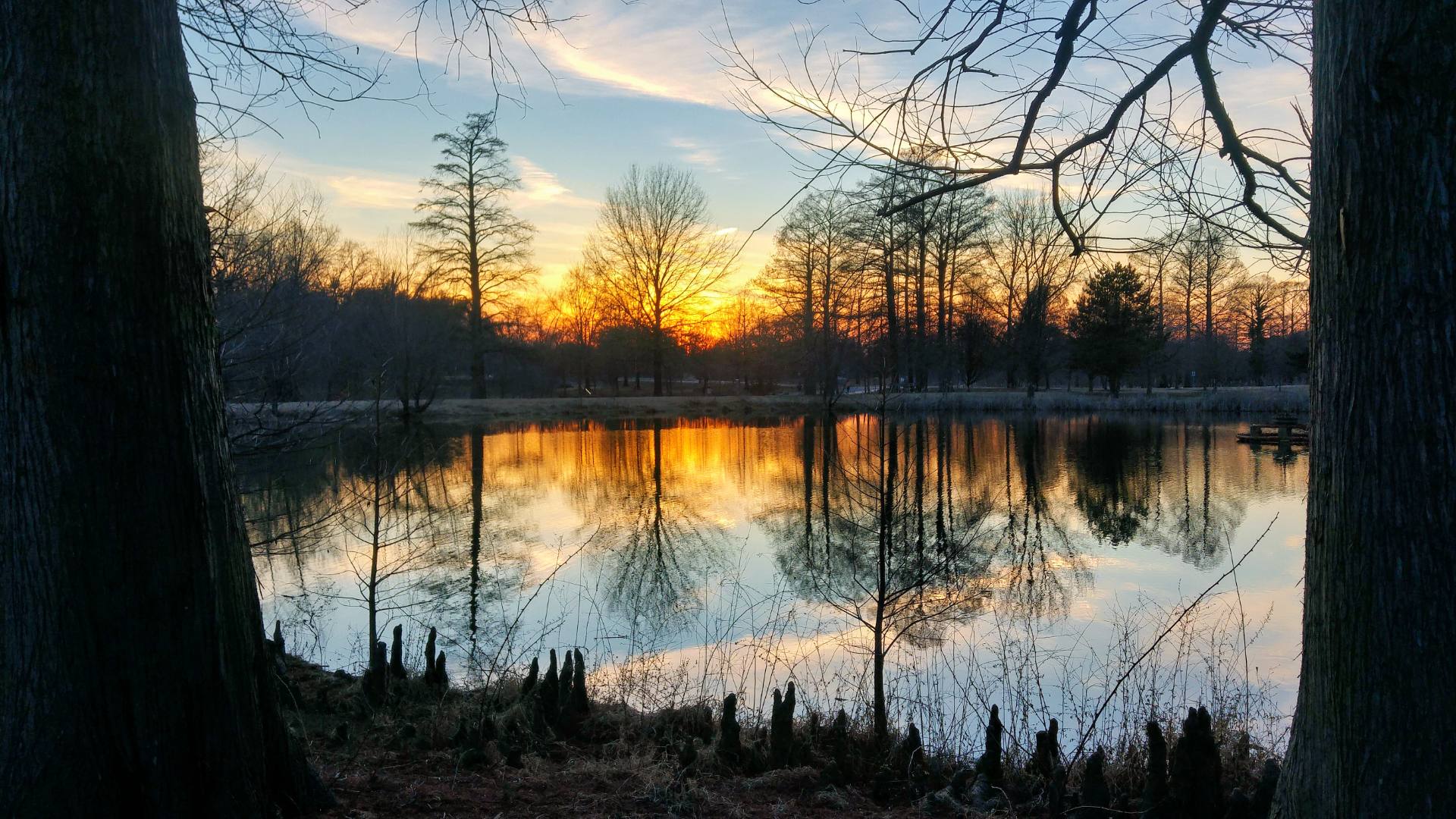 Monarch Garden,  Round Lake